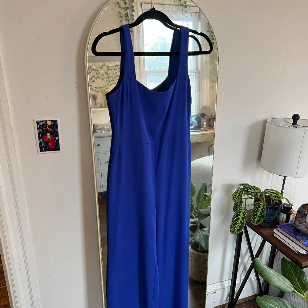 Babaton Royal Blue Jumpsuit by Aritzia